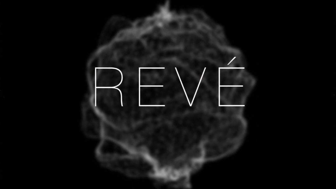 Product Video Fashion Design | Revé by René sunglasses VFX special effects filming 4k video fashion models 3d animation plexus after effects ad advertisement social media Playhou.se playhouse